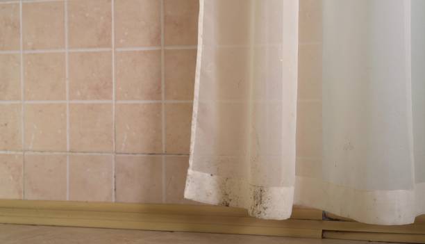 Best Mold Documentation for Insurance Claims  in Lula, GA