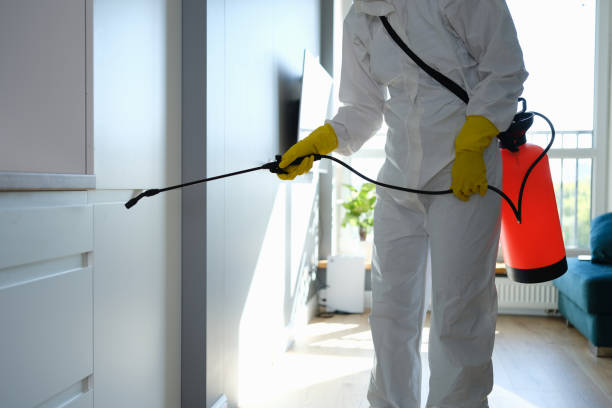 Best Airborne Mold Testing  in Lula, GA